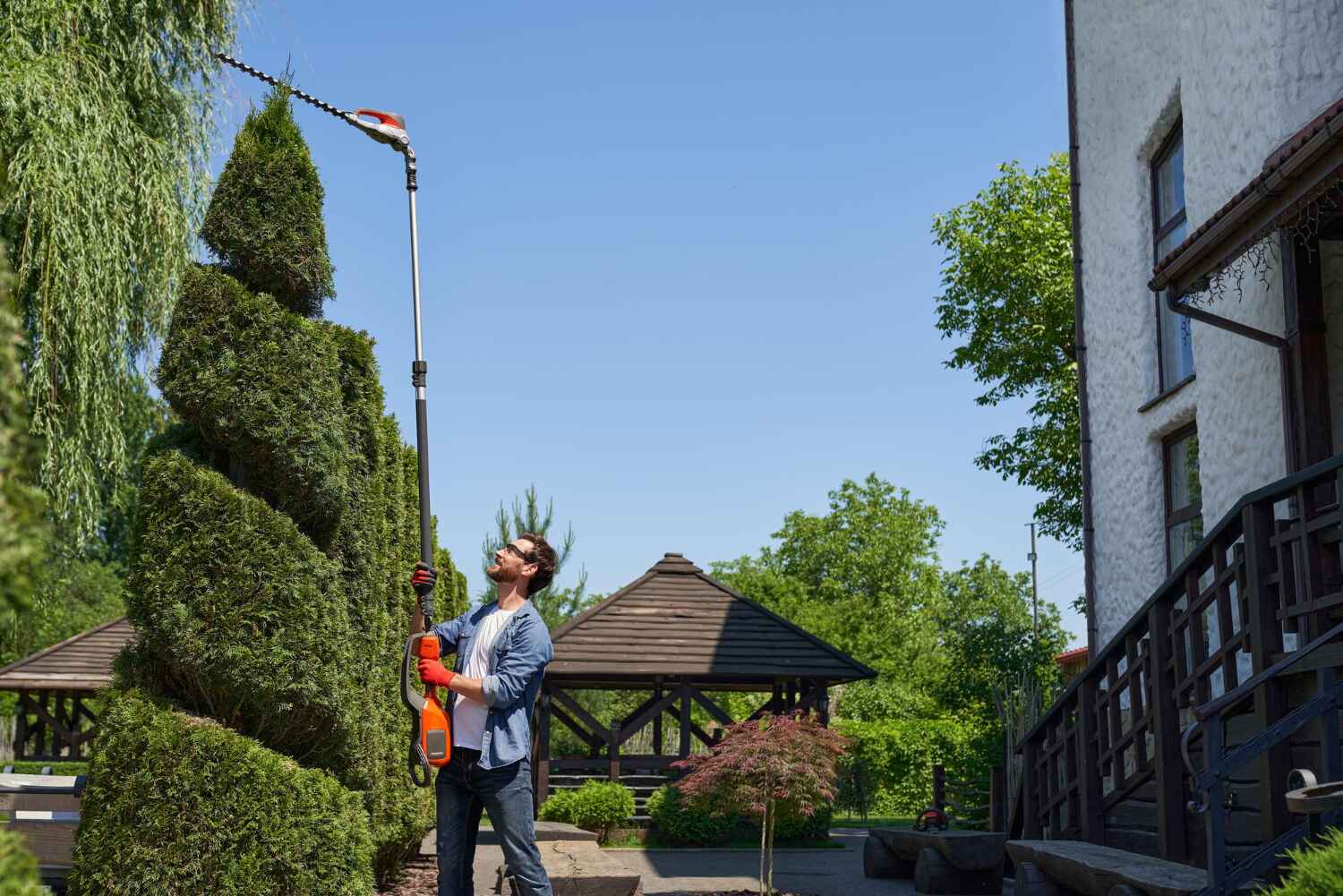 Tree Branch Trimming in Norwood, NJ